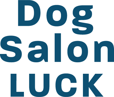 守山市でペットサロンやドッグサロン、トリミングサロンなら口コミで人気の『Dog Salon LUCK』